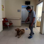 resim_2021-06-10_021947