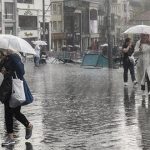 IMG_20210702_113504