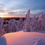 winter-lapland-finland-wallpaper-preview