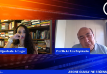 Burcu UĞUR&Profesör Doktor Ali Rıza USLU/Endüstri 5.0 Nereden çıktı 5.0; Nedir?