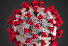 Virüs, bu sefer kıskıvrak yakalanmış olabilir!