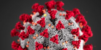 Virüs, bu sefer kıskıvrak yakalanmış olabilir!