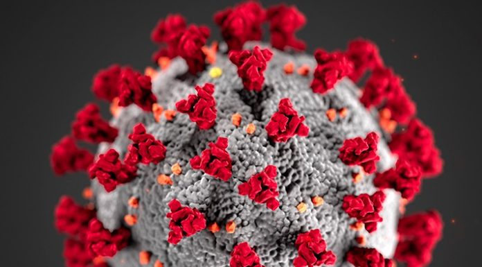 Virüs, bu sefer kıskıvrak yakalanmış olabilir!