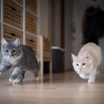 IMG_20210921_113413