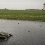 IMG_20210928_125318