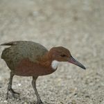 IMG_20210930_104414