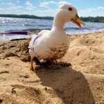 Screenshot_20210929_125550