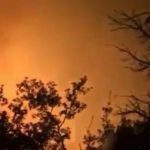Antalya’da orman yangını