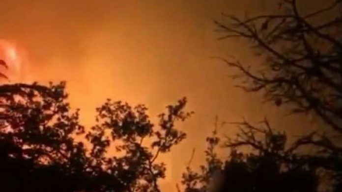 Antalya'da orman yangını