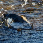 IMG_20211003_141442