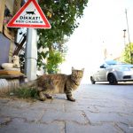 IMG_20211027_130203