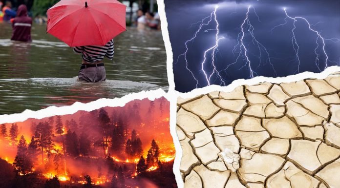 BM uyardı: İklim felaketi kapıda, dünya felakete gidiyor