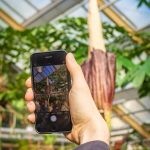 Screenshot_20211029_110440