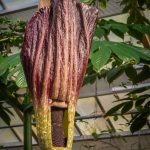 Screenshot_20211029_110454