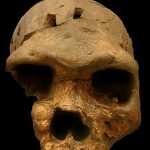 Screenshot_20211029_132246