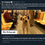 boji_telegraph_tweet