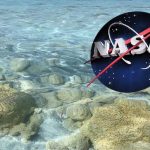 nasasalda1