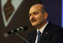İçişleri Bakanı Soylu: Bu yıl 251 kadın cinayeti işlendi