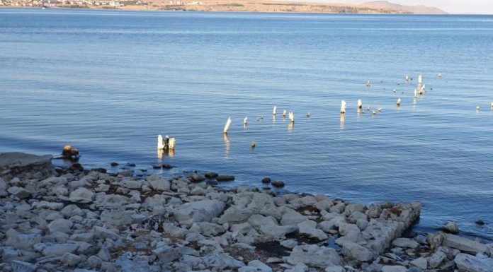 “Atık suların bir kısmı arıtılmadan göle deşarj edilmektedir; Van Gölü S.O.S. veriyor”