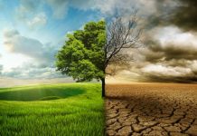 BBC Dünya Servisi’nin anketine göre, iklim değişikliğiyle ilgili Türkiye’de ‘iddialı hedef’ isteyenlerin oranı yüzde 65