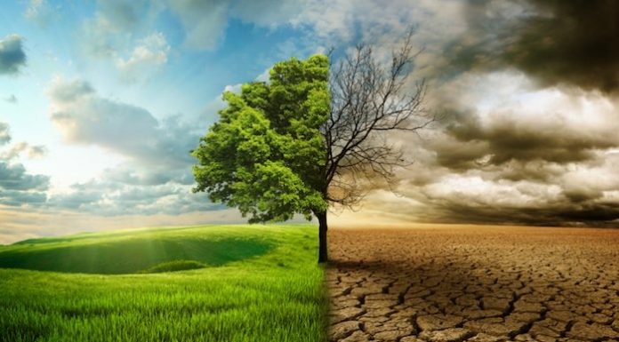 BBC Dünya Servisi’nin anketine göre, iklim değişikliğiyle ilgili Türkiye’de ‘iddialı hedef’ isteyenlerin oranı yüzde 65