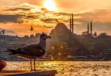 Dün başlayan sıcaklık artışı bugün de devam edecek;İstanbul’da sıcaklıkların 20 dereceye kadar çıkması bekleniyor