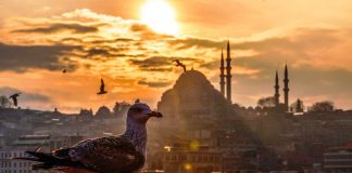 Dün başlayan sıcaklık artışı bugün de devam edecek;İstanbul’da sıcaklıkların 20 dereceye kadar çıkması bekleniyor