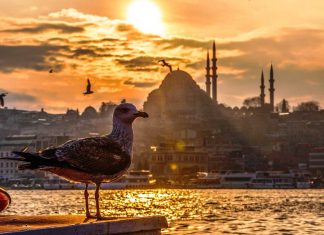 Dün başlayan sıcaklık artışı bugün de devam edecek;İstanbul’da sıcaklıkların 20 dereceye kadar çıkması bekleniyor