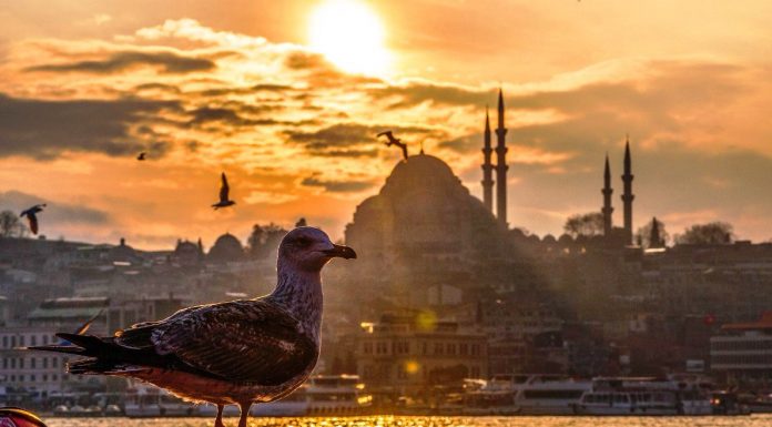 Dün başlayan sıcaklık artışı bugün de devam edecek;İstanbul’da sıcaklıkların 20 dereceye kadar çıkması bekleniyor