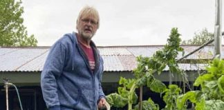 Yeni Zelanda’da küçük bir köpek büyüklüğünde patates bulundu