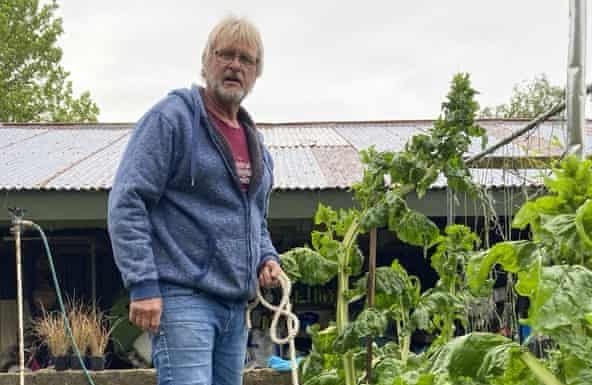 Yeni Zelanda’da küçük bir köpek büyüklüğünde patates bulundu