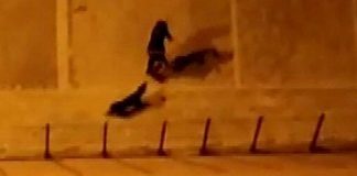 Yalova’da yavru kediyi tekmeleyen Irak uyruklu çocuk tutuklandı!