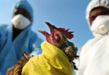 ‘Ayarını bozduğun kantar gün gelir seni tartar’ ; İşte Dünya misali: COVID-19’dan 25 kat daha ölümcül virüs için alarm verildi.