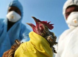 ‘Ayarını bozduğun kantar gün gelir seni tartar’ ; İşte Dünya misali: COVID-19’dan 25 kat daha ölümcül virüs için alarm verildi.
