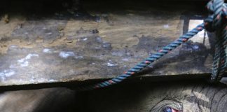 Kim ölmek ister ki, vaktin geldiğini anlamışsa kim hüzün kesmez ki; Filler dahil!