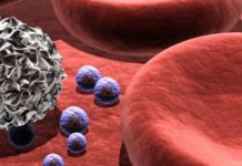 T hücrelerini hedefleyen ilk corona virüs aşısının sonuçları paylaşıldı; verilere göre tüm aşılardan daha etkili!