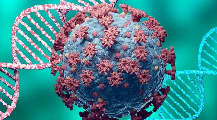 DSÖ: “Ön bulgular yeni varyantın daha yüksek bulaşma riski taşıdığı yönünde”