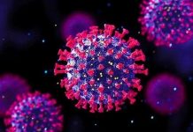 Yeni kabus Omicron, Avrupa’da etki alanını genişletiyor!