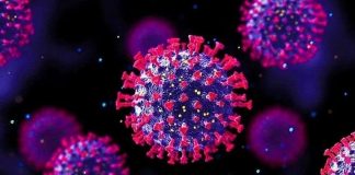 Yeni kabus Omicron, Avrupa’da etki alanını genişletiyor!