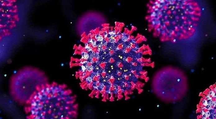 Onun adı artık ‘Omicron’!