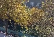 Onlarca öğrenci söyledi; sosyal medyada viral oldu