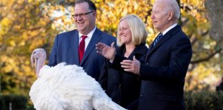 Af dediğin böyle olur! Biden, iki hindiyi affetti!