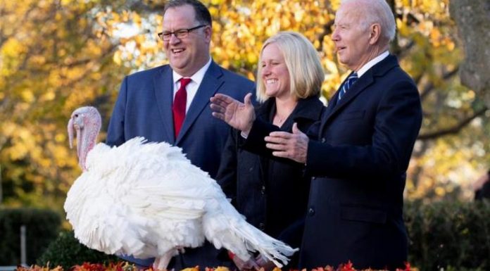 Af dediğin böyle olur! Biden, iki hindiyi affetti!