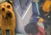 İftiraya uğradı, aklandı. Boji şimdi özür bekliyor!