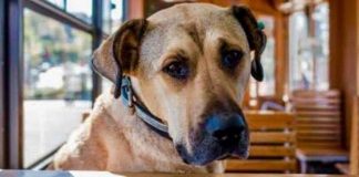 Kumpas mağduru fenomen Boji’yi sahiplenmek için ünlü isimler sıraya girdi