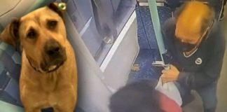 İftiraya uğradı, aklandı. Boji şimdi özür bekliyor!