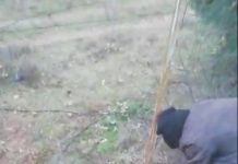 Köylülerin tilkiyi kurtarırken yaptığı konuşmalar güldürdü