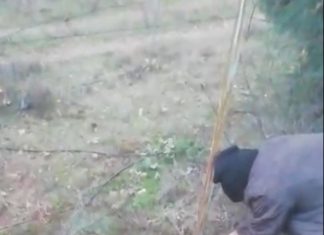 Köylülerin tilkiyi kurtarırken yaptığı konuşmalar güldürdü