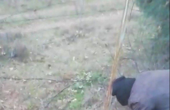 Köylülerin tilkiyi kurtarırken yaptığı konuşmalar güldürdü