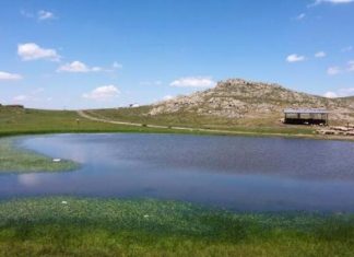 Mahkeme, Emirdağ yaylalarında altın arama faaliyetlerini durdurdu
